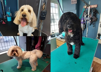 Woof and Ready Dog Grooming