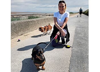 Salford boarding kennels Woofington House image 1