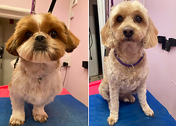 Woofleys Dog Grooming