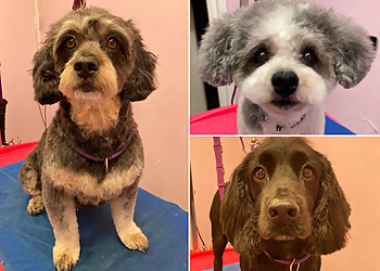 Woofleys Dog Grooming