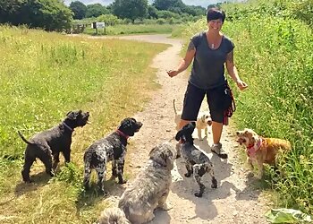 Wooftidoos Dog Walking & Pet Services