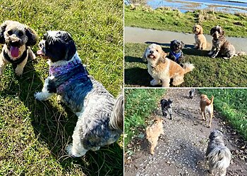 Wooftidoos Dog Walking & Pet Services