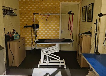 Woof to Wonderful, Dog Groomer