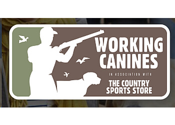 Working Canines