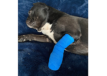 Wright & Morten Vets Wright & Morten Vets