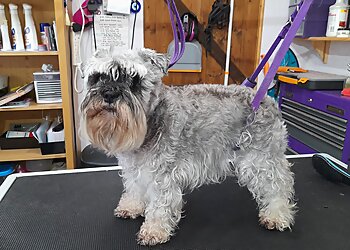 Wuffians Dog Grooming