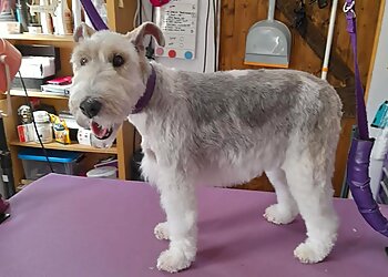 Wuffians Dog Grooming