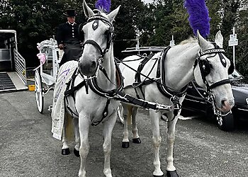 Wyatt Brothers Funeral Directors