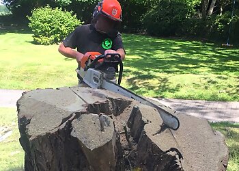 Wychwood Tree Surgeons