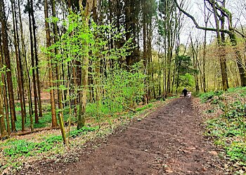 Wynyard Woodland Park