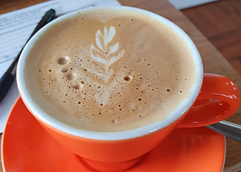 Yellow Coloured Cafe Ltd Yellow Coloured Cafe Ltd