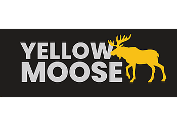 Yellow Moose
