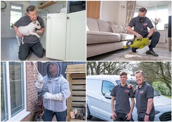 Yor-Pest Control Harrogate