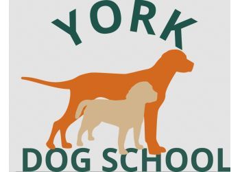 York Dog School