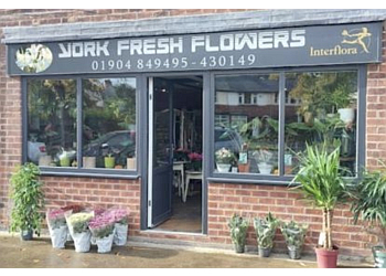 York Fresh Flowers 