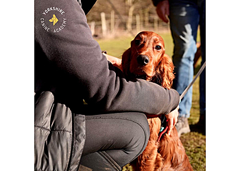 Yorkshire Canine Academy