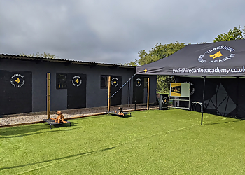 Yorkshire Canine Academy