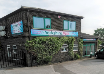 Yorkshire Vets