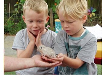 Young Sussex Nursery