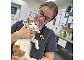 Young Veterinary Partnership