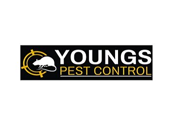 Knowsley pest control Youngs Pest Control image 1