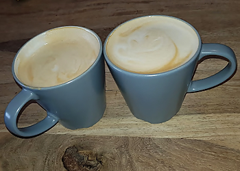 Your Cafe in the Park Your Cafe in the Park