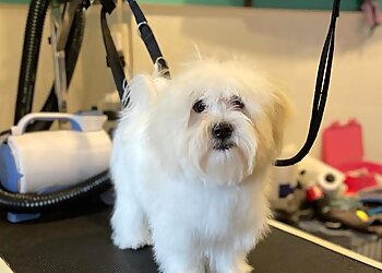 Your Faithful Friend Professional Dog Grooming