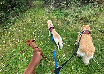 Your Pets Our Passion