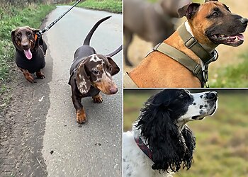 Your Pets Our Passion