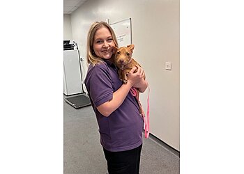 YourVets Smethwick