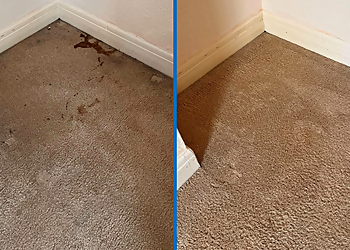 Zero dry time Lisburn