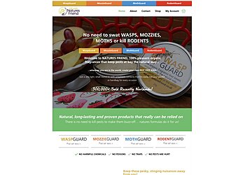 Dotwall Web Design