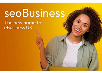 seoBusiness