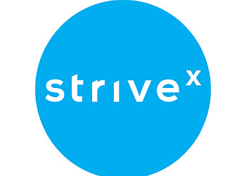 striveX Accountants